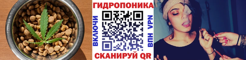 купить закладку  гидра рабочий сайт  Печенье с ТГК конопля  Ивангород 