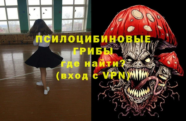 мдпв Алзамай