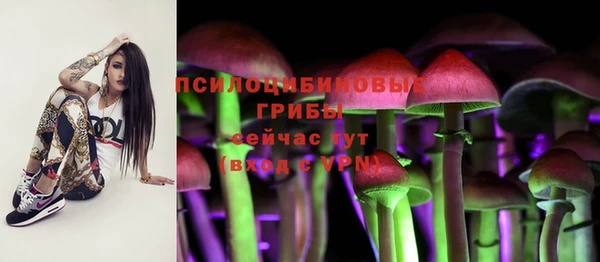 дживик Алексин