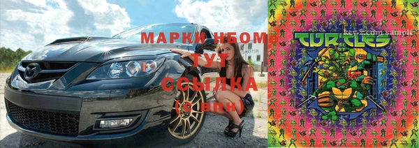 индика Абинск