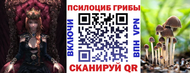 где продают MEGA как зайти Псилоцибиновые грибы GOLDEN TEACHER Ивангород